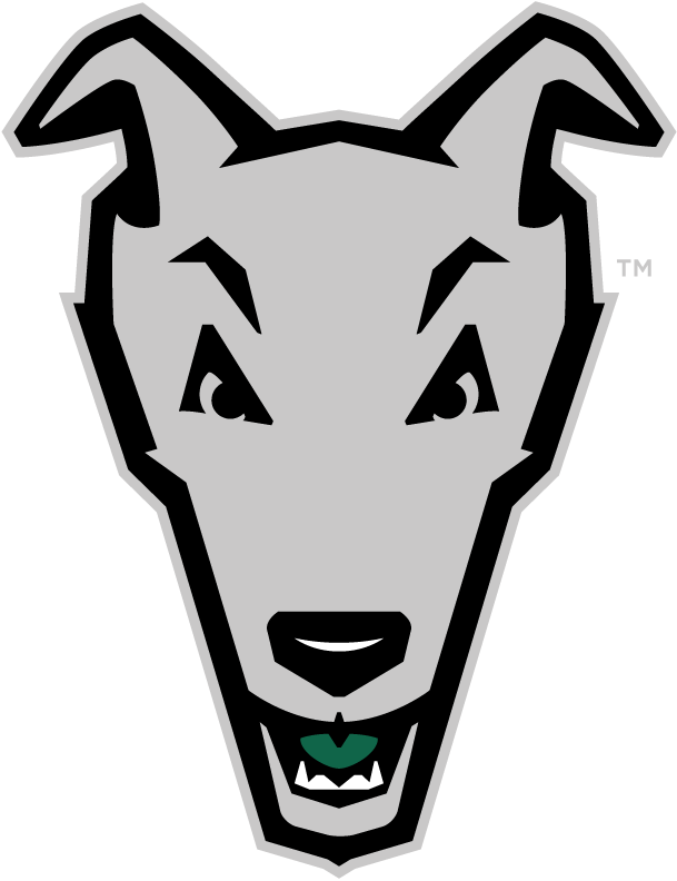 Loyola-Maryland Greyhounds 2011-Pres Alternate Logo diy DTF decal sticker